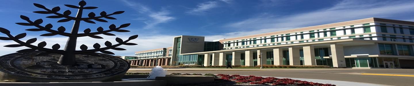 Western Michigan University banner